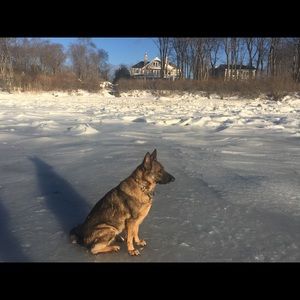 Meet your Posher, Cloudia